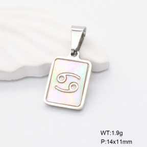 6P3000341vail-675  Stainless Steel Pendant