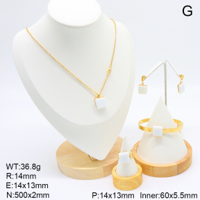 6S0017264ajvb-308  Stainless Steel Set