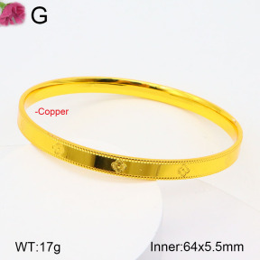 F2BA20138vhkb-J178  Fashion Copper Bangle