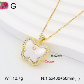 F2N401160bhia-J31  Fashion Copper Necklace