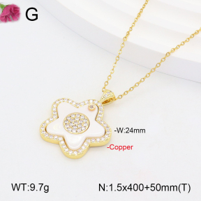 F2N401164bhia-J31  Fashion Copper Necklace