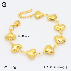 2B2003814vbnl-641  Stainless Steel Bracelet