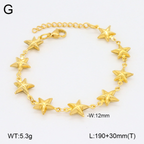 2B2003818vbnl-641  Stainless Steel Bracelet