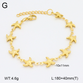 2B2003820vbnl-641  Stainless Steel Bracelet