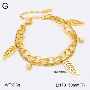 2B4004551bhia-746  Stainless Steel Bracelet