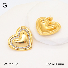 2E4004216bhva-436  Stainless Steel Earrings