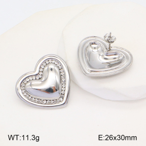 2E4004217vbpb-436  Stainless Steel Earrings