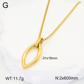 2N2005372vbll-452  Stainless Steel Necklace