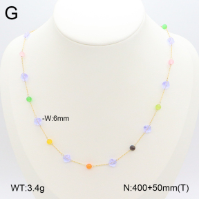 2N4003860bvpl-641  Stainless Steel Necklace