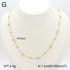 2N4003862bvpl-641  Stainless Steel Necklace