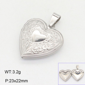 2P2004091vail-452  Stainless Steel Pendant