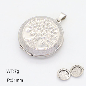 2P2004111aaio-452  Stainless Steel Pendant