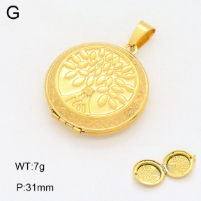 2P2004112aajo-452  Stainless Steel Pendant