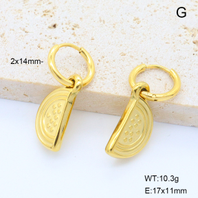 6E2007062bhva-908  18K PVD 316 Pin  Stainless Steel Earrings