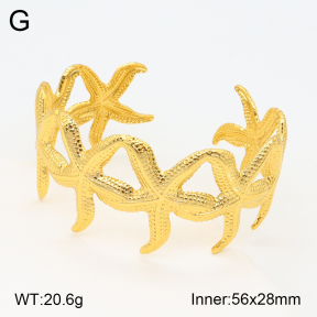 2BA201909bhva-434  Stainless Steel Bangle