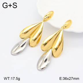 2E2005617vbmb-434  Stainless Steel Earrings