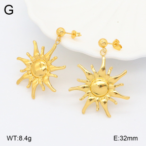 2E2005618aakl-434  Stainless Steel Earrings
