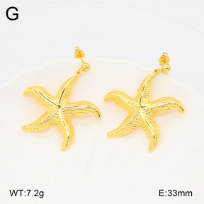 2E2005619aakl-434  Stainless Steel Earrings