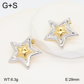 2E2005621bbml-434  Stainless Steel Earrings