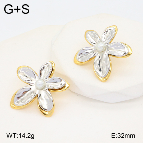 2E2005622vbmb-434  Stainless Steel Earrings