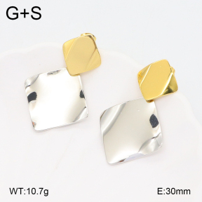 2E2005623vbll-434  Stainless Steel Earrings