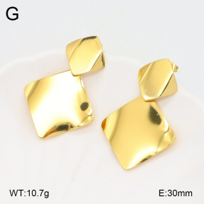 2E2005624vbll-434  Stainless Steel Earrings