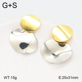 2E2005625vbll-434  Stainless Steel Earrings