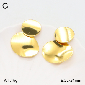 2E2005626vbll-434  Stainless Steel Earrings
