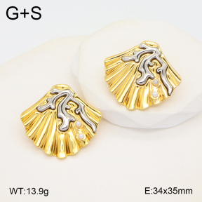 2E2005629vbmb-434  Stainless Steel Earrings