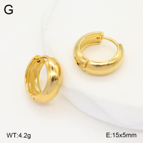 2E2005630avja-434  Stainless Steel Earrings