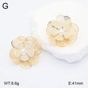 2E3003254vbnb-434  Stainless Steel Earrings