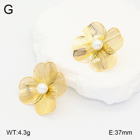 2E3003255vbnb-434  Stainless Steel Earrings