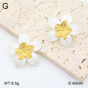 2E3003256vbnl-434  Stainless Steel Earrings