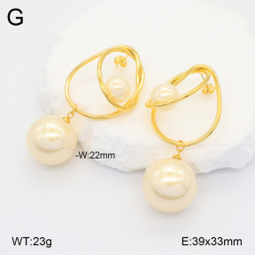 2E3003257bhia-434  Stainless Steel Earrings