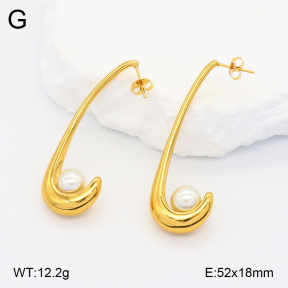 2E3003258vbnl-434  Stainless Steel Earrings