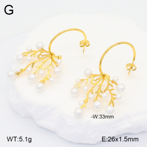 2E3003259bhbl-434  Stainless Steel Earrings