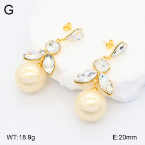 2E3003261bhil-434  Stainless Steel Earrings