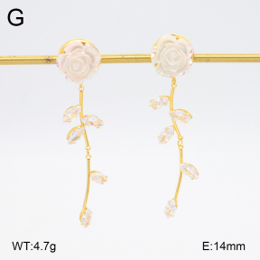 2E3003262bhbl-434  Stainless Steel Earrings