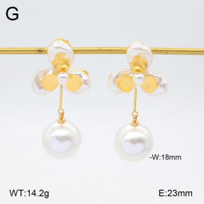 2E3003266bhil-434  Stainless Steel Earrings