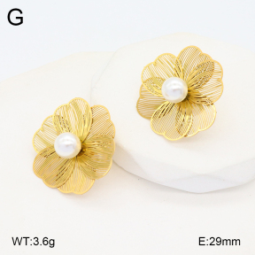 2E3003269vbnb-434  Stainless Steel Earrings