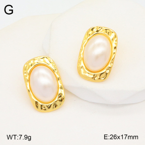 2E3003271aakl-434  Stainless Steel Earrings