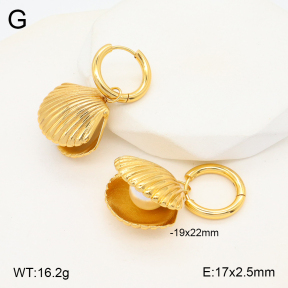 2E3003272vbnl-434  Stainless Steel Earrings