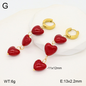 2E3003274vbnb-434  Stainless Steel Earrings