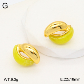2E3003277bbov-434  Stainless Steel Earrings