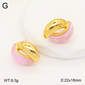 2E3003278bbov-434  Stainless Steel Earrings