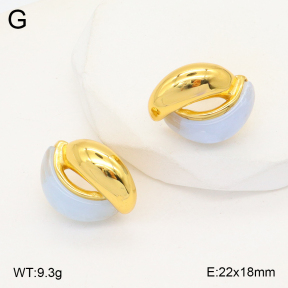 2E3003279bbov-434  Stainless Steel Earrings