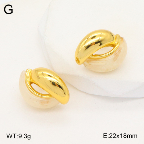 2E3003280bbov-434  Stainless Steel Earrings