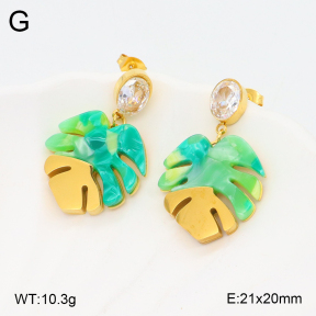 2E3003282bhbl-434  Stainless Steel Earrings