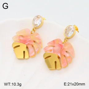 2E3003284bhbl-434  Stainless Steel Earrings
