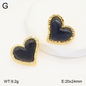 2E4004220vbll-434  Stainless Steel Earrings